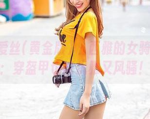 AISS爱丝(黄金版) – 西雅的女骑士图册：穿盔甲也能优雅又风骚！