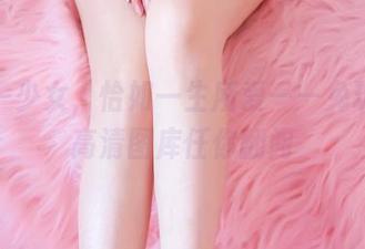 一猫一少女，恰如一生所爱——兔玩映画高清图库任你翻阅