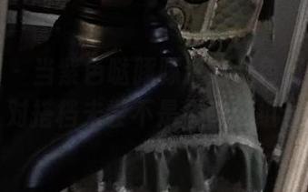 微密圈 – 当紫色哒豚豚遇到红色资源，这对搭档未尝不是个奇葩组合